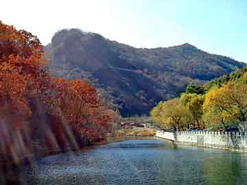 新澳门二四六天天彩，电缆沟堵漏